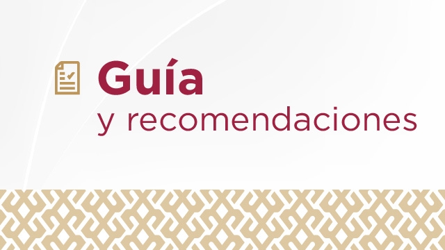 Guía y Recomendaciones