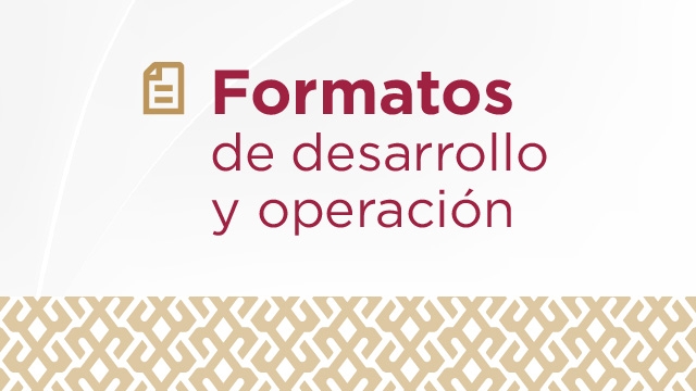 Formatos de Desarrollo y Operación