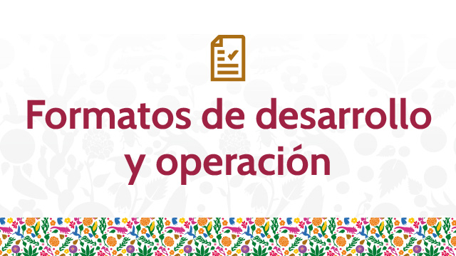 Formatos de Desarrollo y Operación